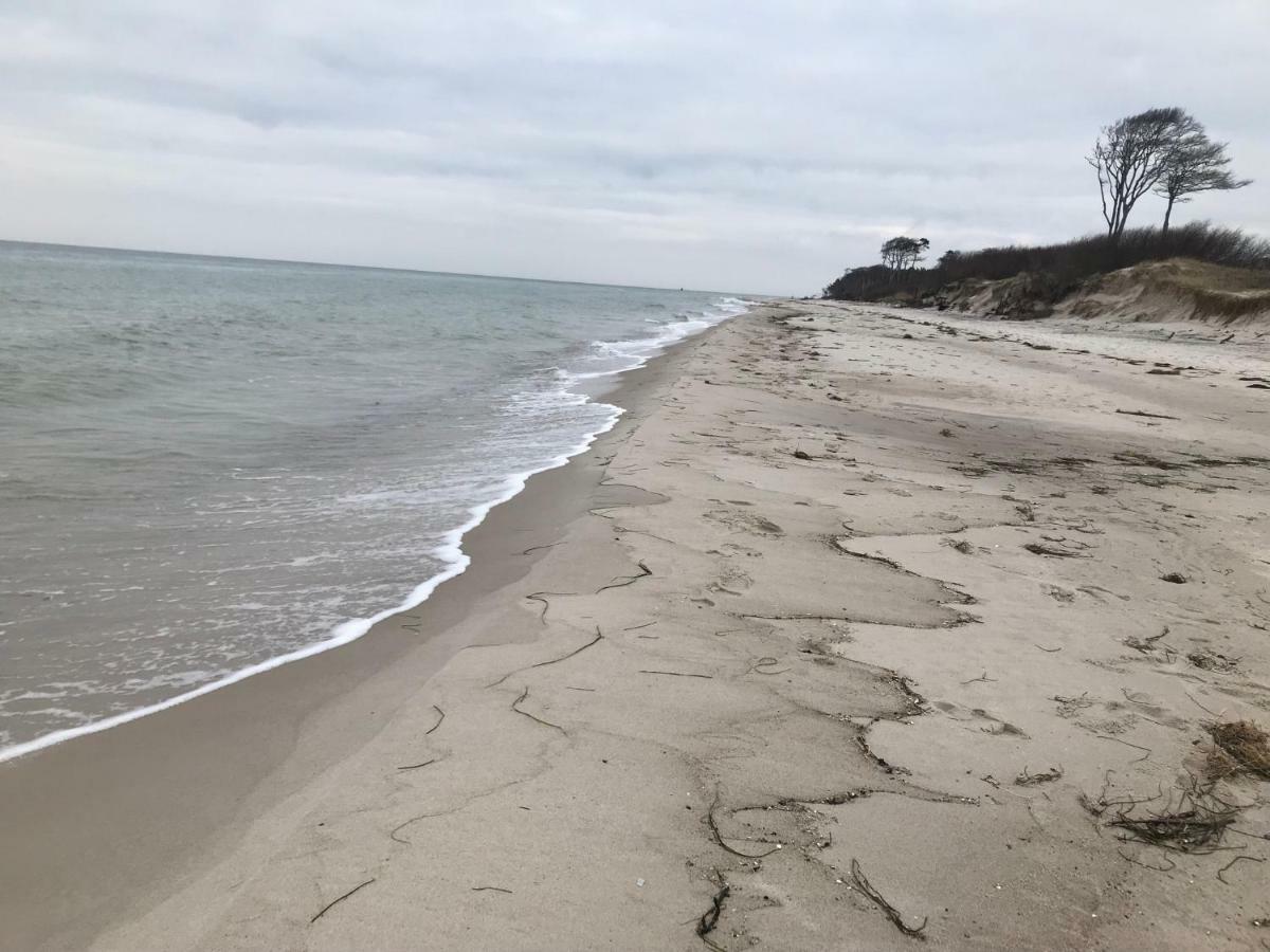 Zum Nordstrand Prerow Dış mekan fotoğraf